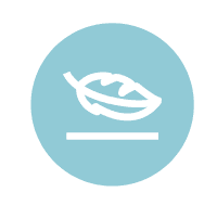 Light Weight Icon